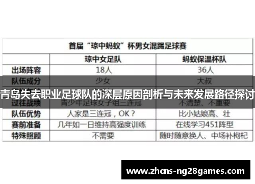 青岛失去职业足球队的深层原因剖析与未来发展路径探讨