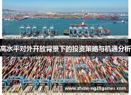 高水平对外开放背景下的投资策略与机遇分析